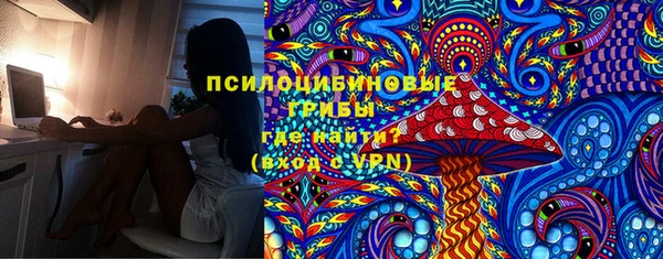 прущий лед Пионерский
