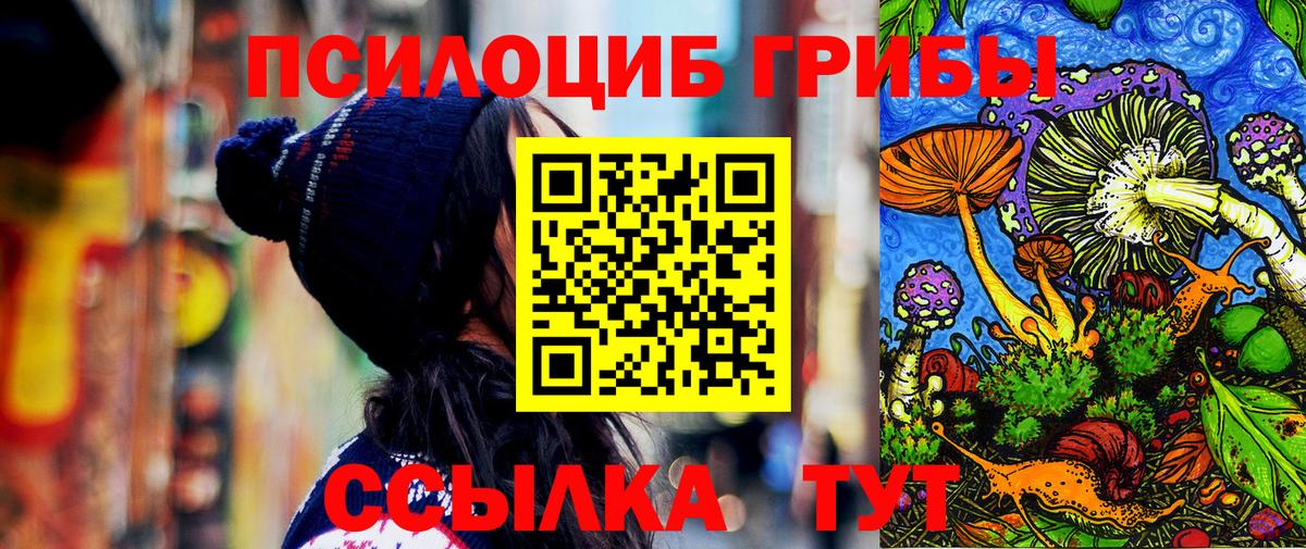 Галлюциногенные грибы Magic Shrooms Тихорецк