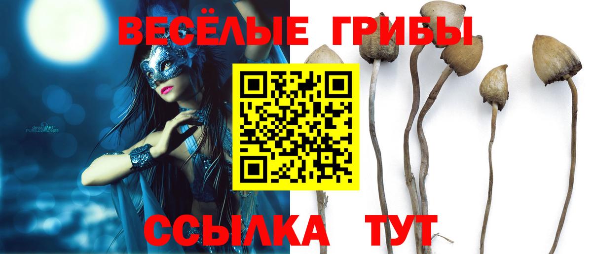 купить наркотик  Псилоцибиновые грибы Psilocybine cubensis  Вход с VPN  Тихорецк  Псилоцибиновые грибы ЛСД 